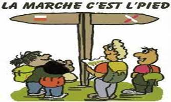 Une image contenant texte

Description gnre automatiquement