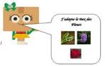 Une image contenant texte, ext�rieur, nature, plante

Description g�n�r�e automatiquement